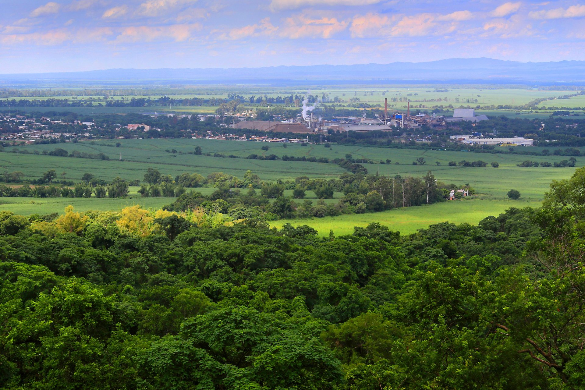 Paisaje Productivo Protegido